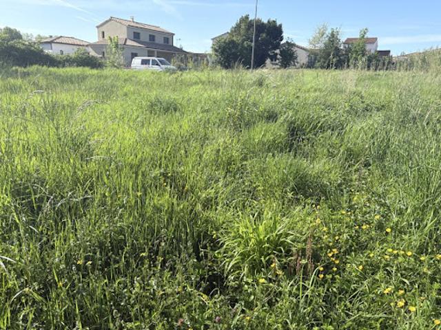 Vente Terrain 390 m2 Gragnague