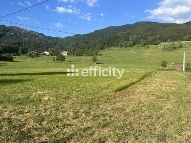 Vente Terrain 3920 m2 Mégevette