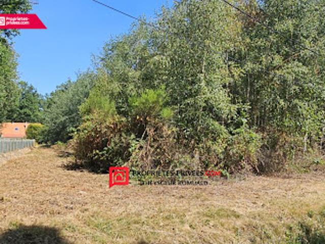 Vente Terrain 3921 m2 Egreville
