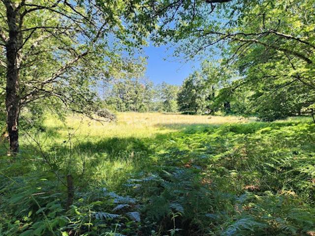 Vente Terrain 3934 m2 Larzac