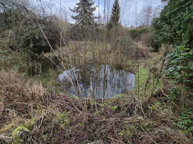 Vente Terrain 3940 m2 Sainte genevieve