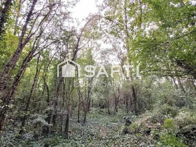 Vente Terrain 3945 m2 Jaunay Marigny
