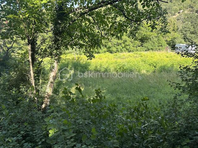 Vente Terrain 3955 m2 Saint Montan