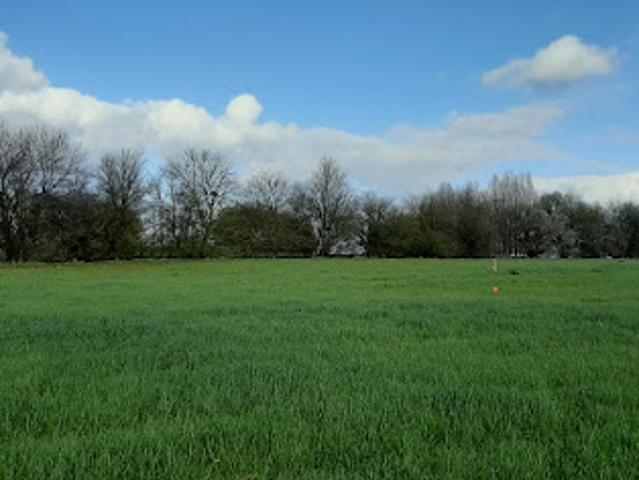 Vente Terrain 395 m2 Coulans sur Gée