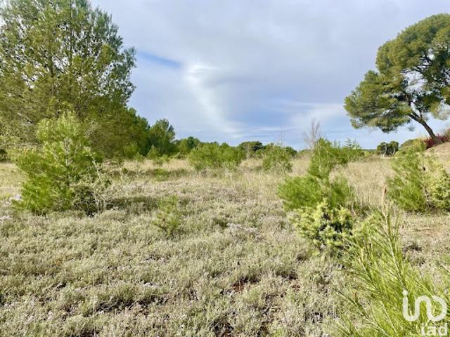 Vente Terrain 395 m2 Lézignan Corbières