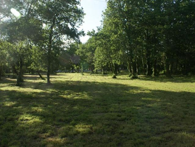 Vente Terrain 3960 m2 Saint Vivien de Médoc