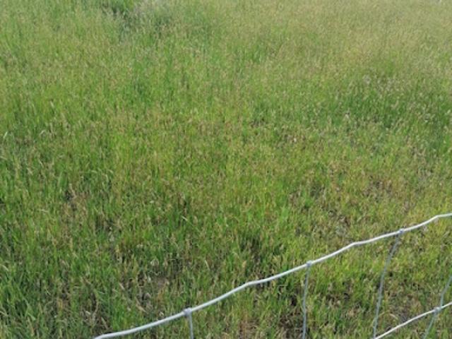 Vente Terrain 399 m2 Merlevenez