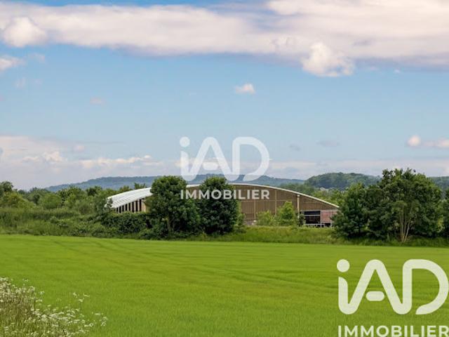 Vente Terrain 30000 m2 Baugy