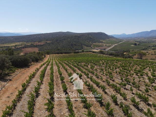 Vente Terrain 30000 m2 Estagel