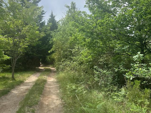 Vente Terrain 30000 m2 Gujan Mestras