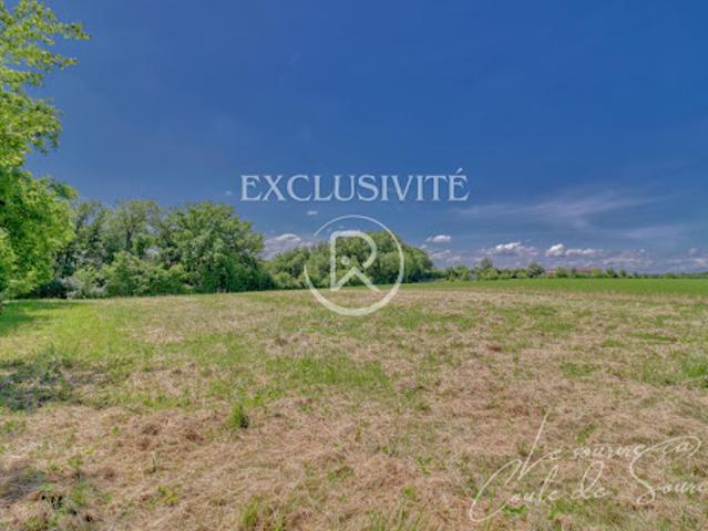 Vente Terrain 3000 m2 Beaumont de Lomagne