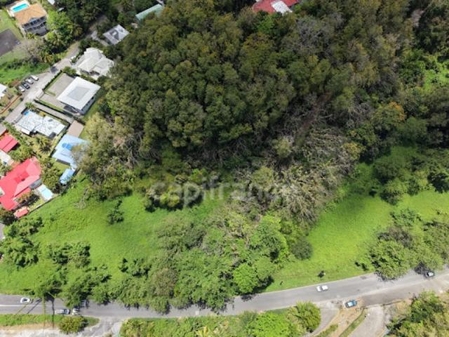 Vente Terrain 3000 m2 Les abymes