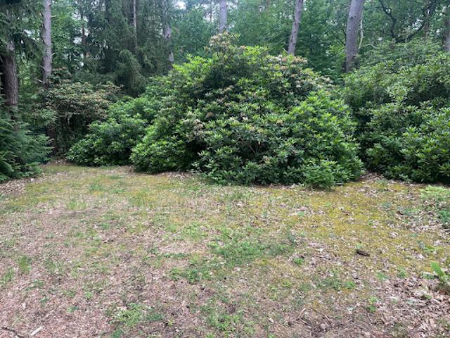 Vente Terrain 3000 m2 Noisy sur Ecole