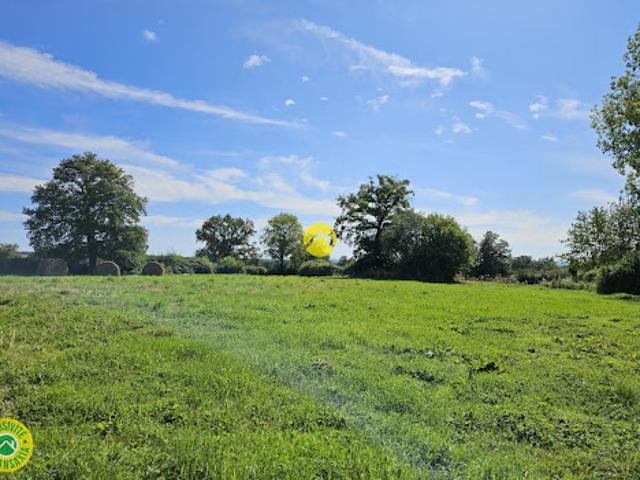 Vente Terrain 3000 m2 Venas