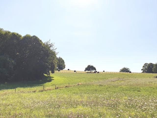 Vente Terrain 3002 m2 Palazinges