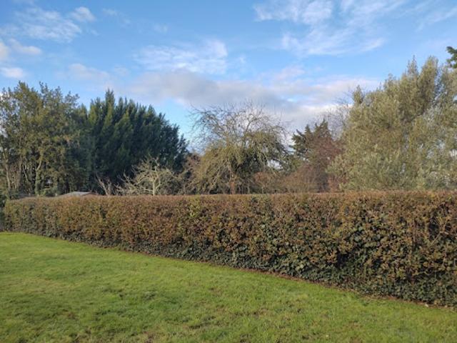 Vente Terrain 300 m2 Carquefou