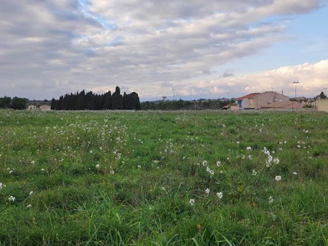 Vente Terrain 300 m2 Fleury