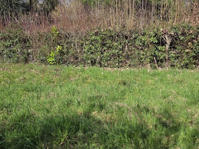 Vente Terrain 300 m2 Lubersac