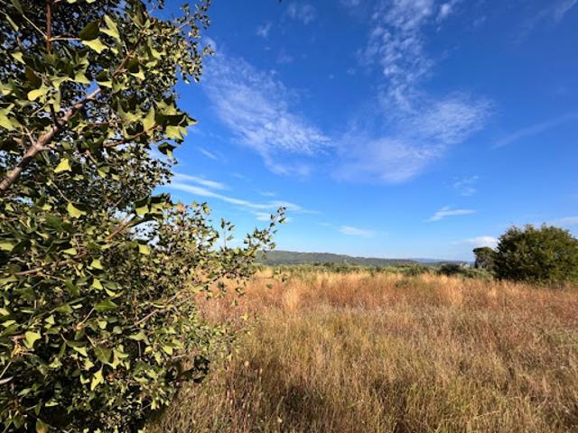 Vente Terrain 300 m2 Rognes