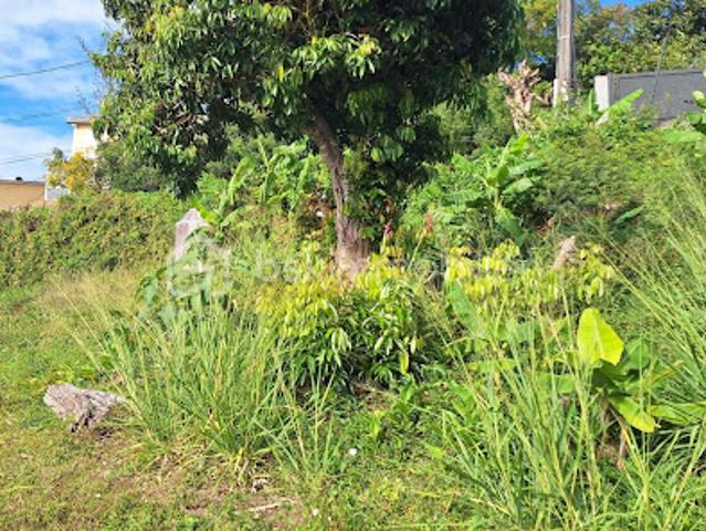 Vente Terrain 300 m2 Sainte Marie
