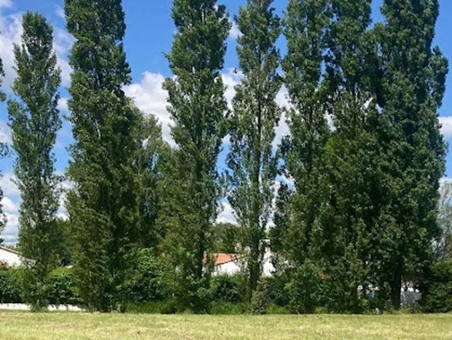 Vente Terrain 301 m2 Saint Jean de Monts