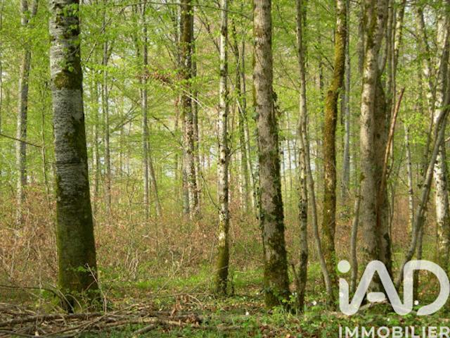 Vente Terrain 3058 m2 Saint Germain de Grave