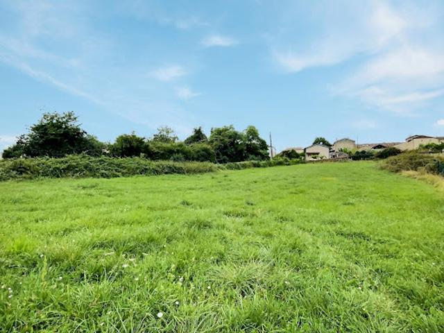 Vente Terrain 3067 m2 Pellegrue