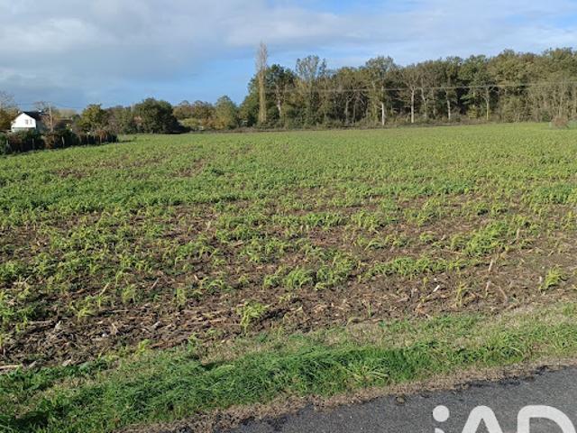 Vente Terrain 3070 m2 Chouppes