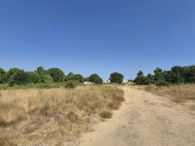 Vente Terrain 308 m²