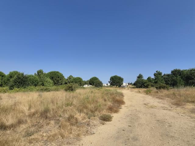 Vente Terrain 308 m²