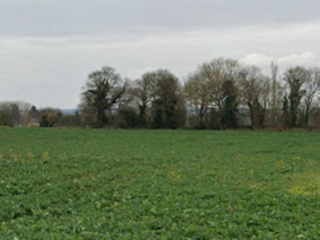Vente Terrain 313 m2 Saint Cast le Guildo