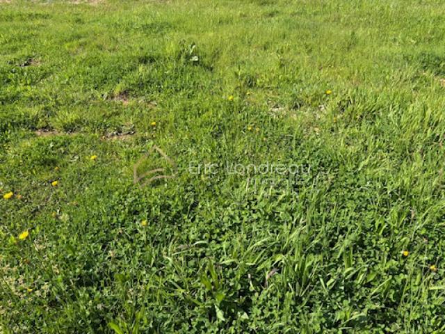 Vente Terrain 310 m2 Talmont Saint Hilaire