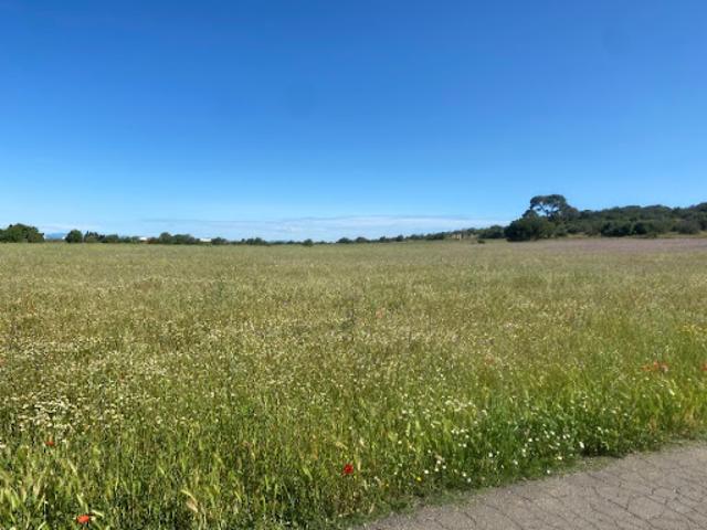 Vente Terrain 310 m2 Maraussan
