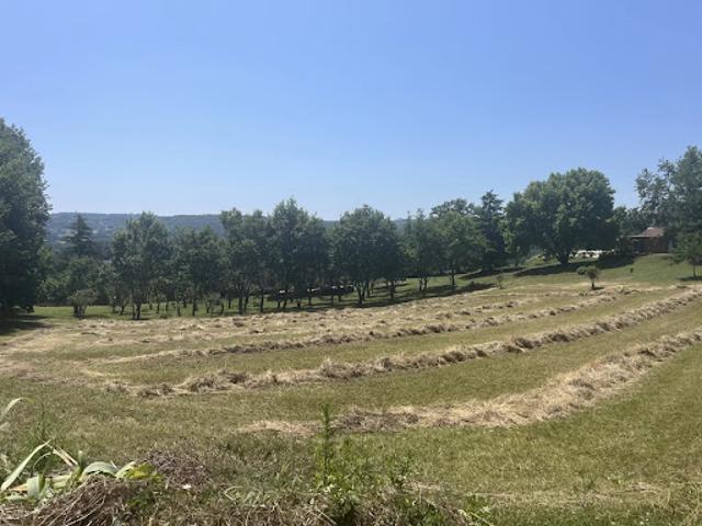 Vente Terrain 3113 m2 Coux et Bigaroque