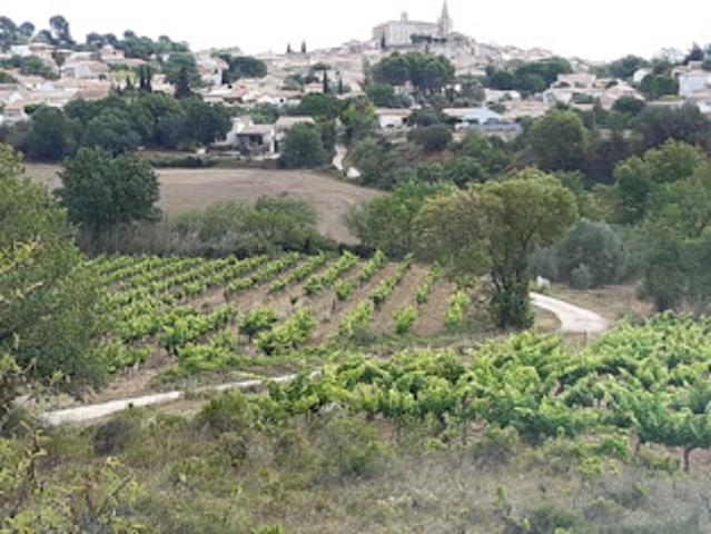 Vente Terrain 31190 m2 Murviel lès Béziers