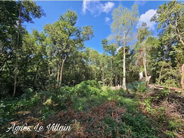 Vente Terrain 3123 m2 Bouillante