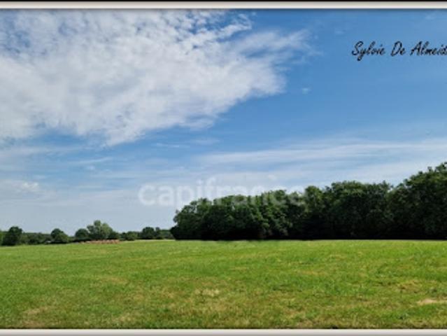 Vente Terrain 3128 m2 Béréziat