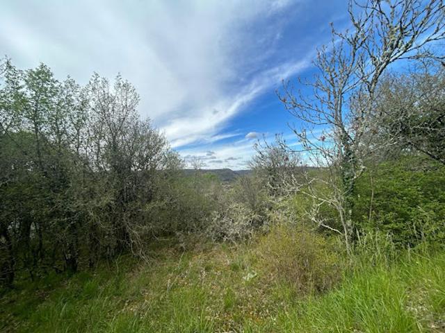 Vente Terrain 3132 m2 Souillac