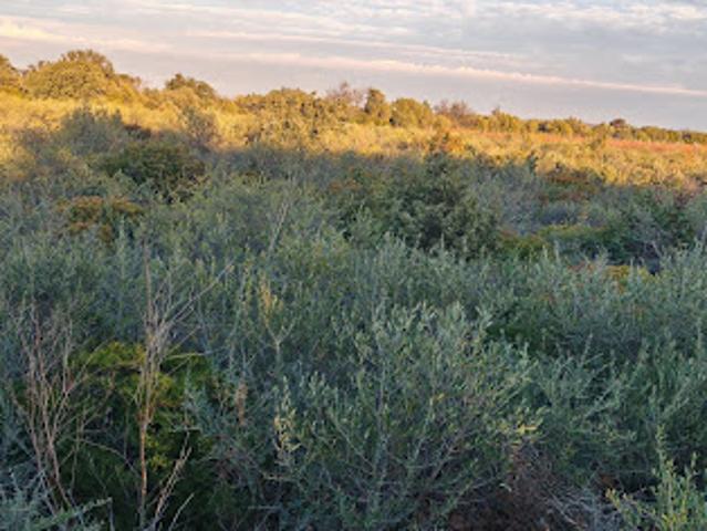Vente Terrain 3135 m2 La Palme