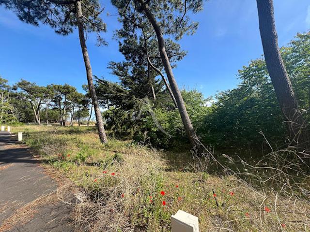 Vente Terrain 314 m2 La Tranche sur Mer