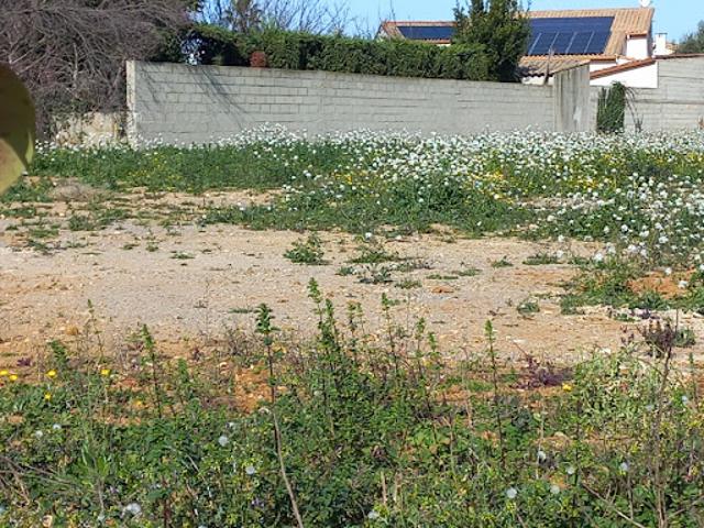 Vente Terrain 315 m2 Mauguio