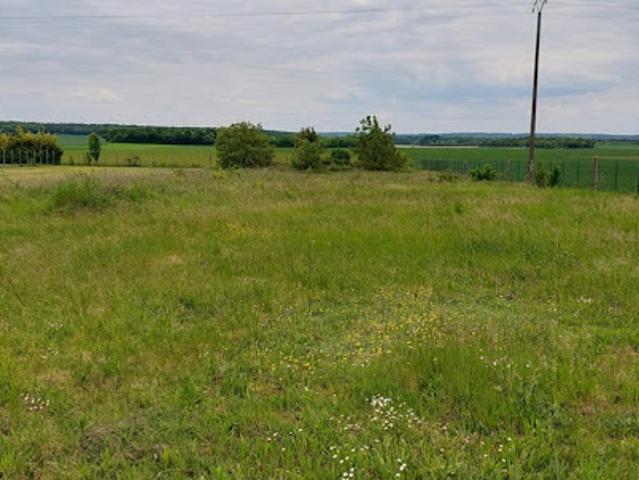 Vente Terrain 3186 m2 Darvault