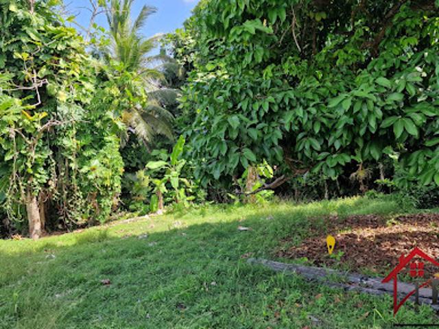 Vente Terrain 3191 m2 Petit bourg