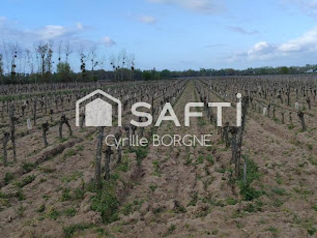 Vente Terrain 32000 m2 Savigny en Véron