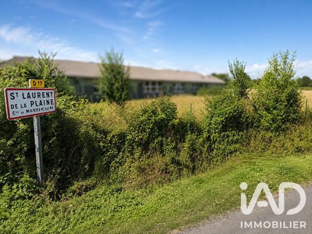 Vente Terrain 3200 m2 Chalonnes sur Loire