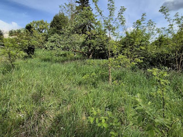 Vente Terrain 320 m2 Monthyon