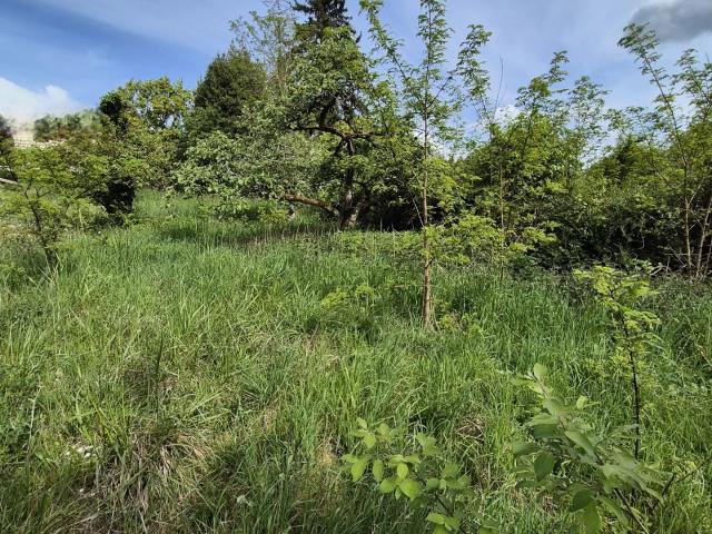 Vente Terrain 320 m²
