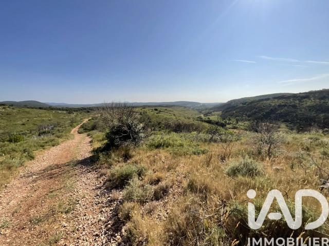 Vente Terrain 321 615 m²