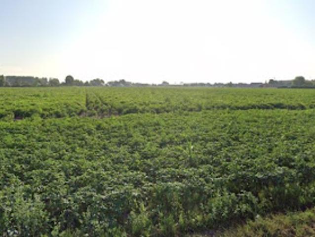 Vente Terrain 321 m2 Râches
