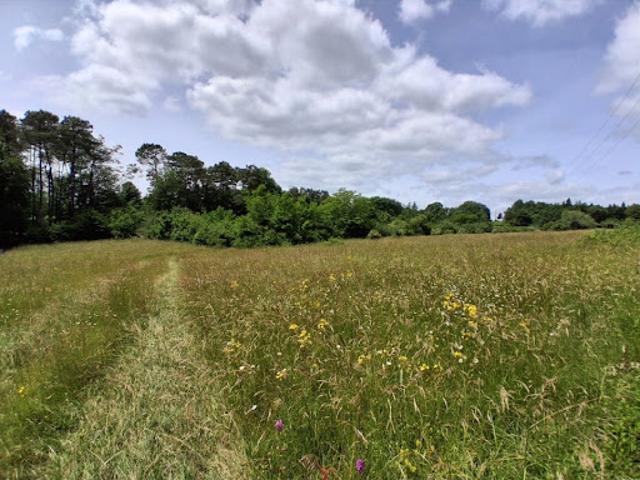 Vente Terrain 3221 m2 Montagnac la Crempse
